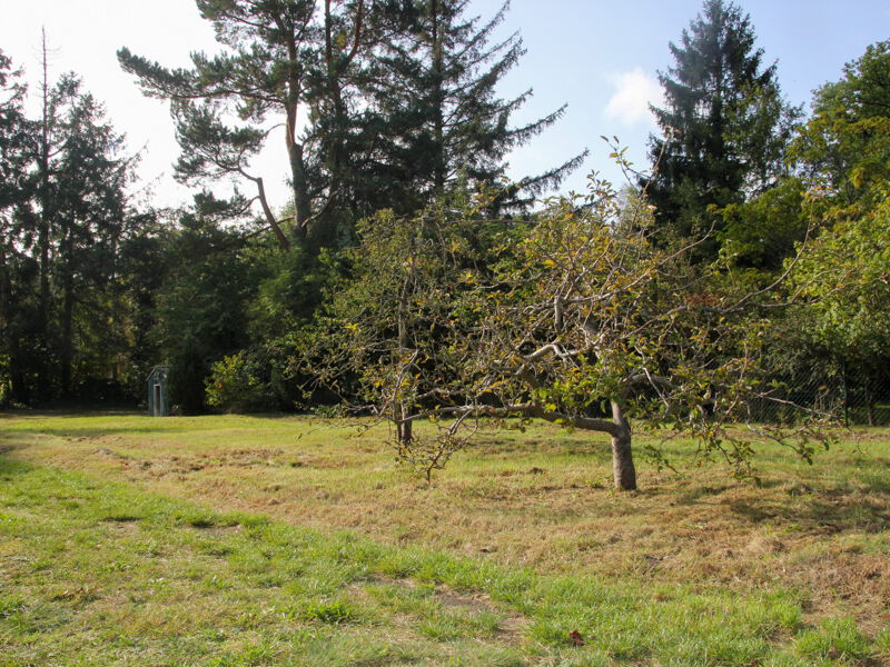 Obstgarten